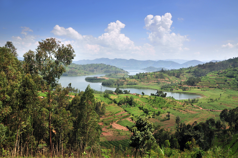 The Accidental Evaluator: Learning M&E by doing in Rwanda