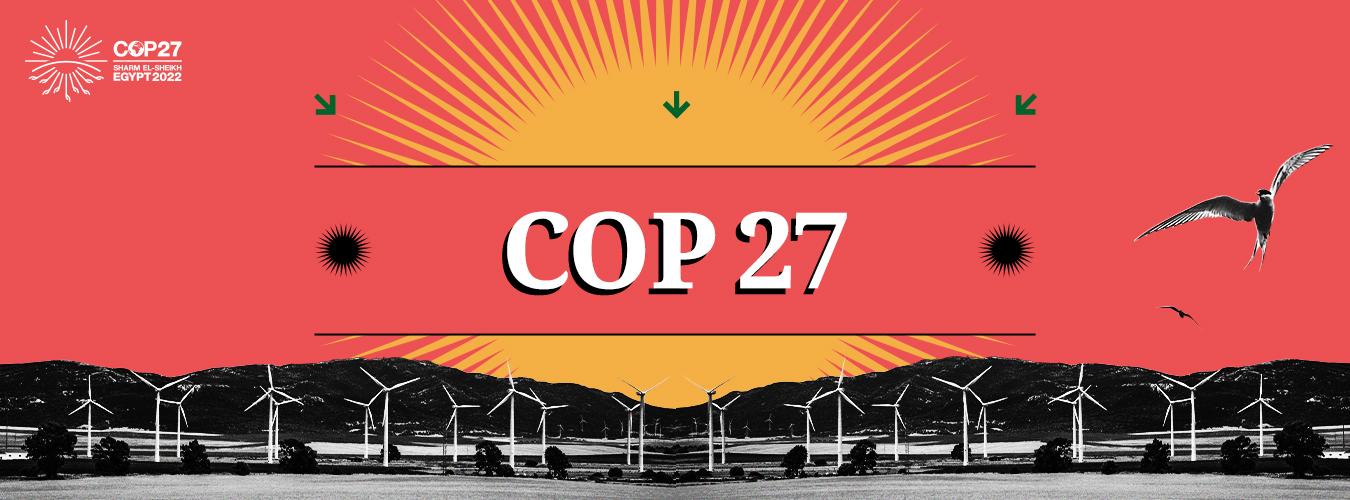 COP27 has come to a close. What next?
