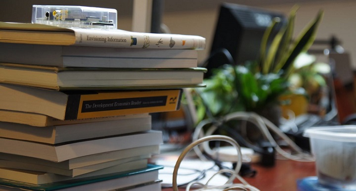 Entrepreneurs in Institutions: Why Intrapreneurs are so Valuable to International Development