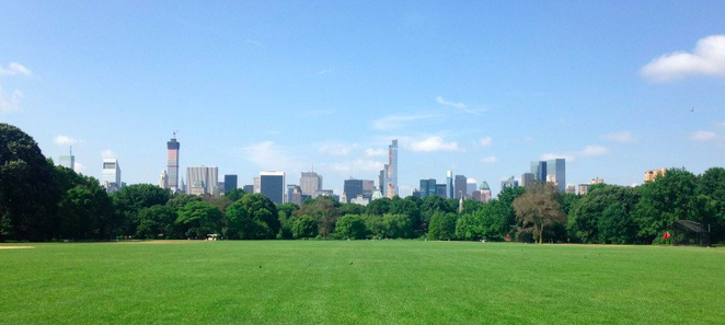 The Role of Maps in Making Cities Green