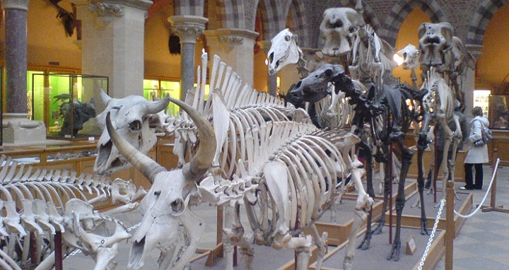 MOOCs Are Not the Answer: Embracing Creative Chaos for Online Education