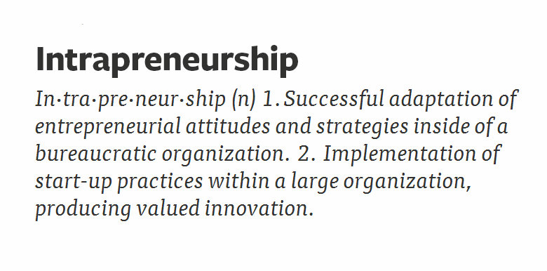 What is Intrapreneurship?