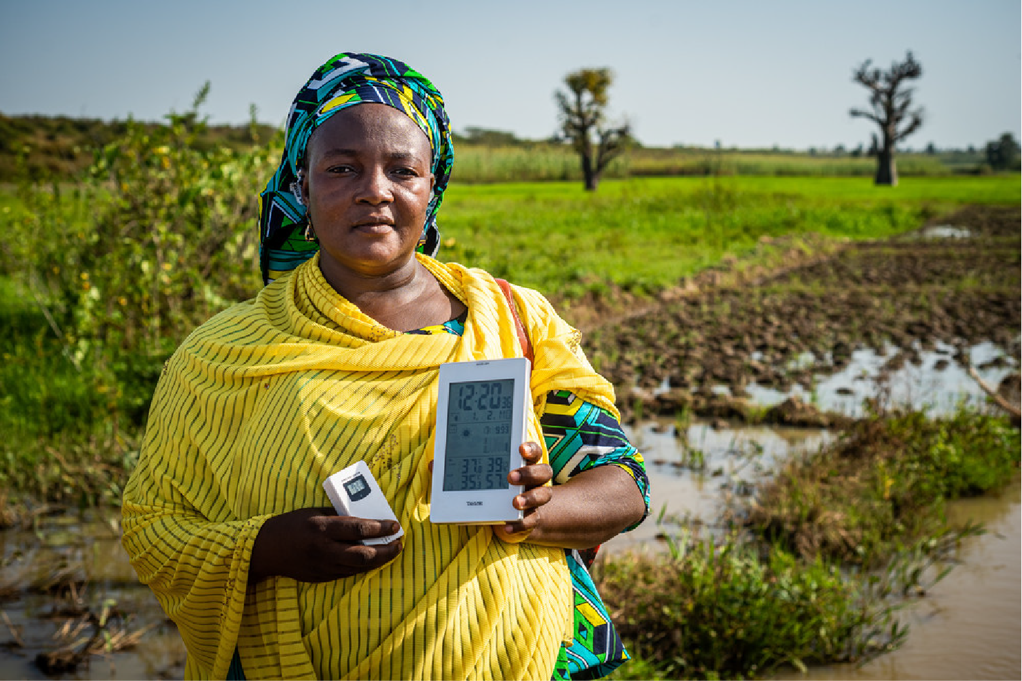 International Fund for Agriculture Development