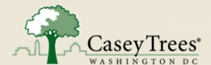 Casey Trees Logo